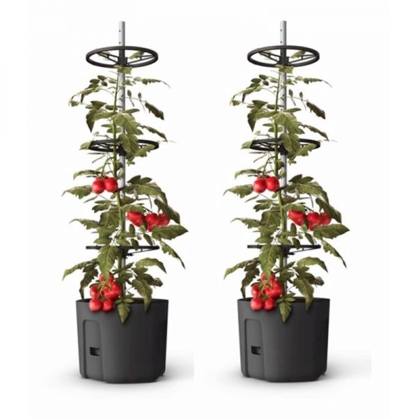 Gardenico Self-watering Tomato Climber Pot - 39cm - Twin Pack-58845 